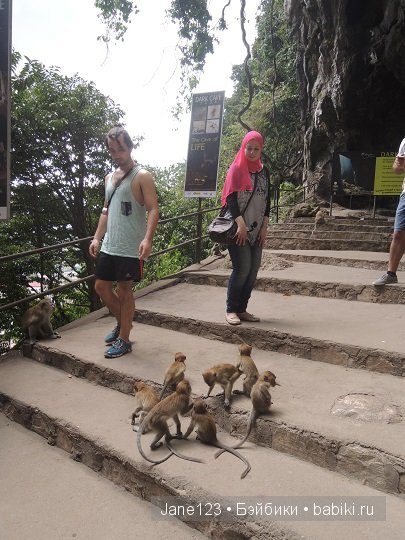 Ваня-путешественник. Малайзия