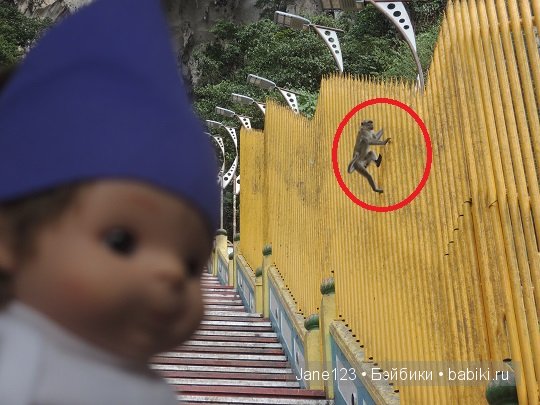 Ваня-путешественник. Малайзия