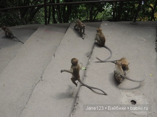 Ваня-путешественник. Малайзия