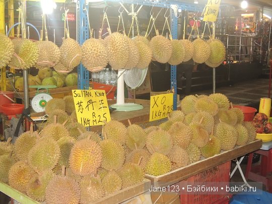 Ваня-путешественник. Малайзия (фото 2)