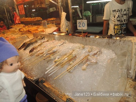Ваня-путешественник. Малайзия (фото 5)