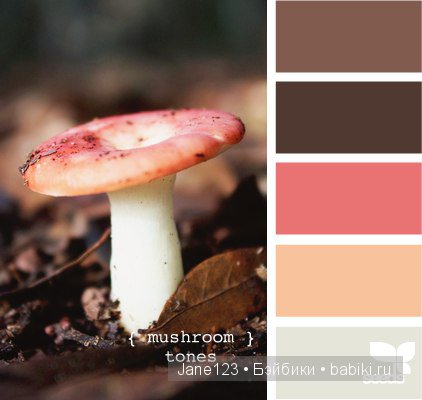 Цветовые сочетания — Сочетание цветов: палитры для одежды и интерьера