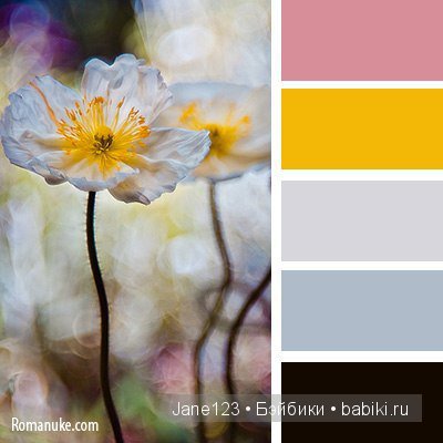 Цветовые сочетания — Сочетание цветов: палитры для одежды и интерьера
