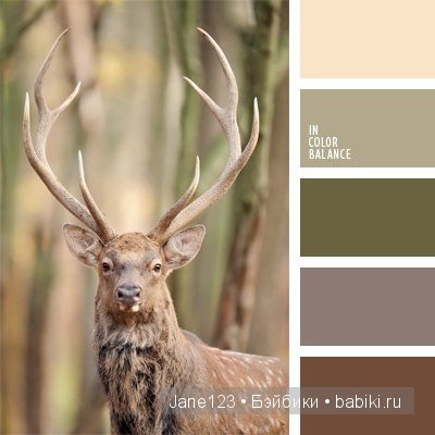 Цветовые сочетания — Сочетание цветов: палитры для одежды и интерьера