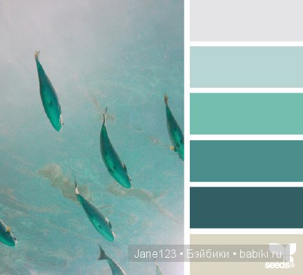 Цветовые сочетания — Сочетание цветов: палитры для одежды и интерьера