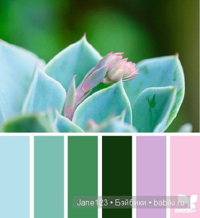 Цветовые сочетания — Сочетание цветов: палитры для одежды и интерьера