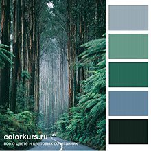 Цветовые сочетания — Сочетание цветов: палитры для одежды и интерьера