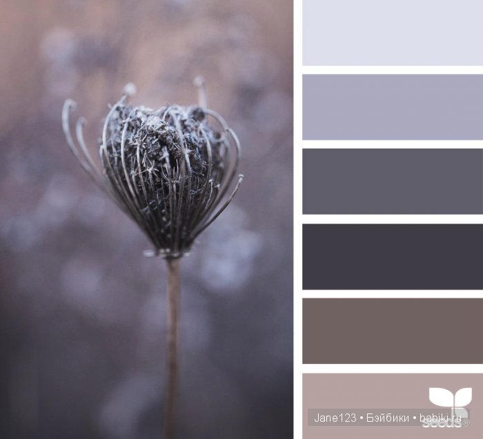 Цветовые сочетания — Сочетание цветов: палитры для одежды и интерьера