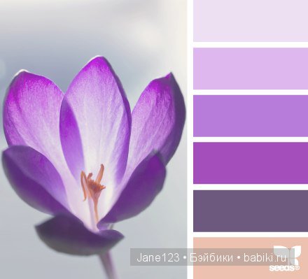 Цветовые сочетания — Сочетание цветов: палитры для одежды и интерьера