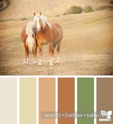 Цветовые сочетания — Сочетание цветов: палитры для одежды и интерьера