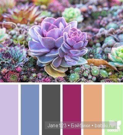 Цветовые сочетания — Сочетание цветов: палитры для одежды и интерьера (фото 2)