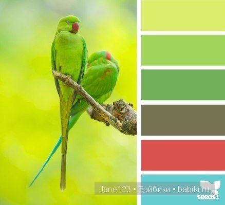 Цветовые сочетания — Сочетание цветов: палитры для одежды и интерьера