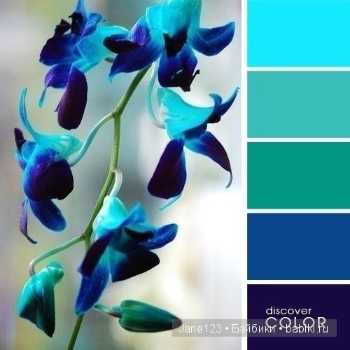 Цветовые сочетания — Сочетание цветов: палитры для одежды и интерьера