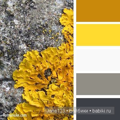 Цветовые сочетания — Сочетание цветов: палитры для одежды и интерьера