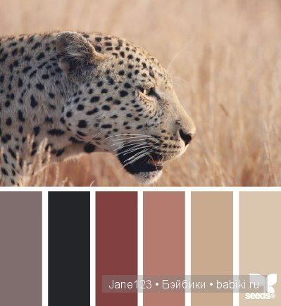 Цветовые сочетания — Сочетание цветов: палитры для одежды и интерьера