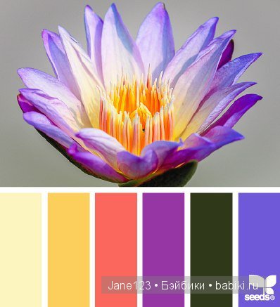 Цветовые сочетания — Сочетание цветов: палитры для одежды и интерьера