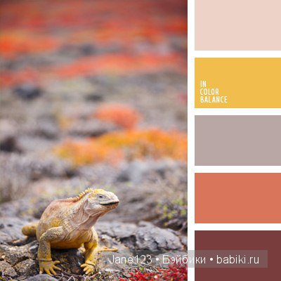 Цветовые сочетания — Сочетание цветов: палитры для одежды и интерьера
