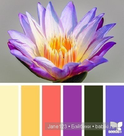 Цветовые сочетания — Сочетание цветов: палитры для одежды и интерьера