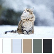 Цветовые сочетания — Сочетание цветов: палитры для одежды и интерьера