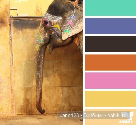 Цветовые сочетания — Сочетание цветов: палитры для одежды и интерьера