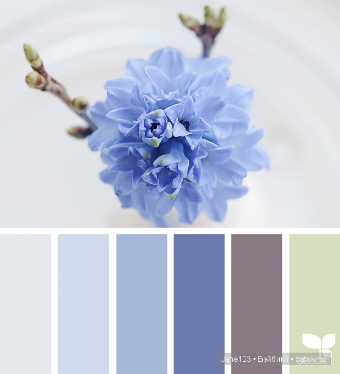 Цветовые сочетания — Сочетание цветов: палитры для одежды и интерьера