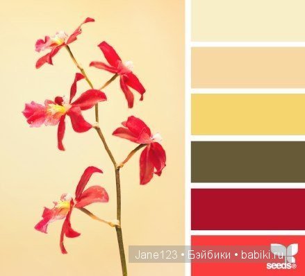 Цветовые сочетания — Сочетание цветов: палитры для одежды и интерьера