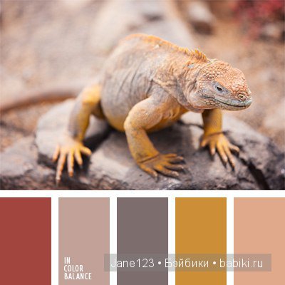 Цветовые сочетания — Сочетание цветов: палитры для одежды и интерьера