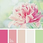 Цветовые сочетания