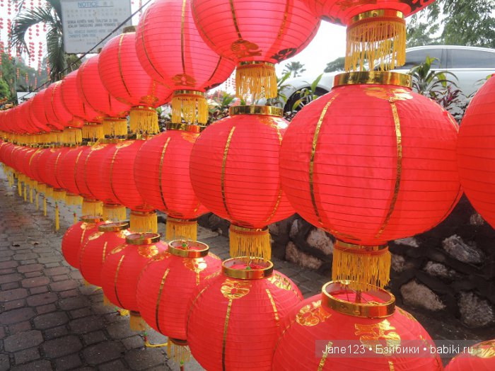 Ваня-путешественник. Малайзия. Ч.2 (фото 2)