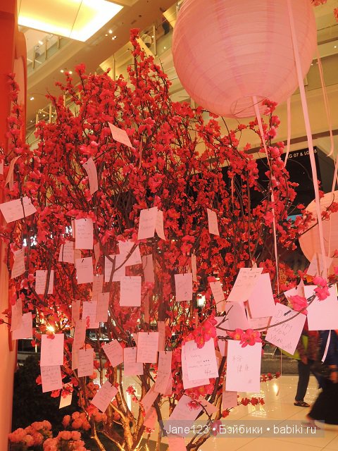 Ваня-путешественник. Малайзия. Ч.2