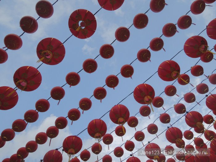 Ваня-путешественник. Малайзия. Ч.2 (фото 6)