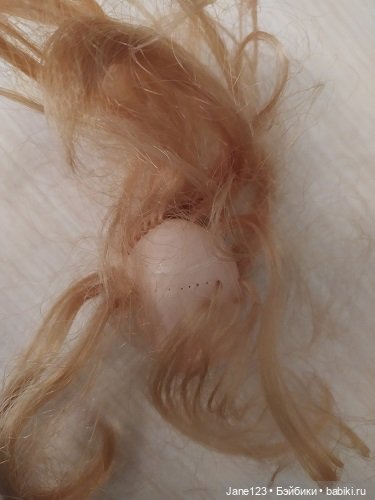 Головастики и другие хвостатые (фото 2)