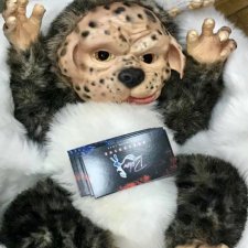 Чудесное приобретение - Монстрик