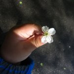 После дождичка в четверг...