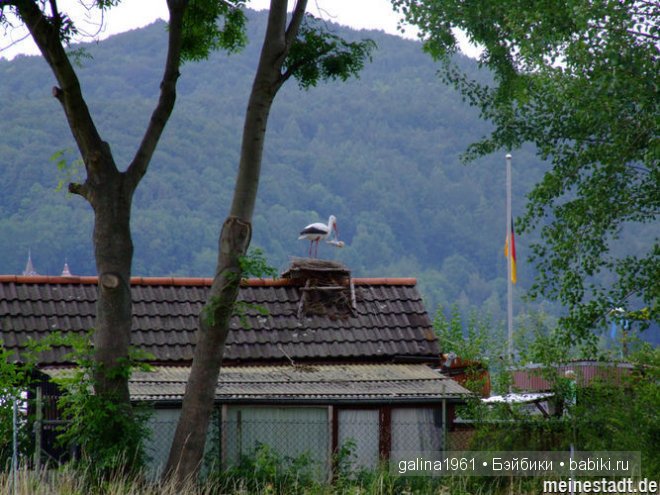 Приглашение на выставку в Eschwege 2014 (фото 4)