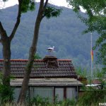 Приглашение на выставку в Eschwege 2014.