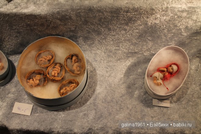 Отчёт о выставке кукол Еschwege 2014. Коллекционные куклы и мишки Тедди