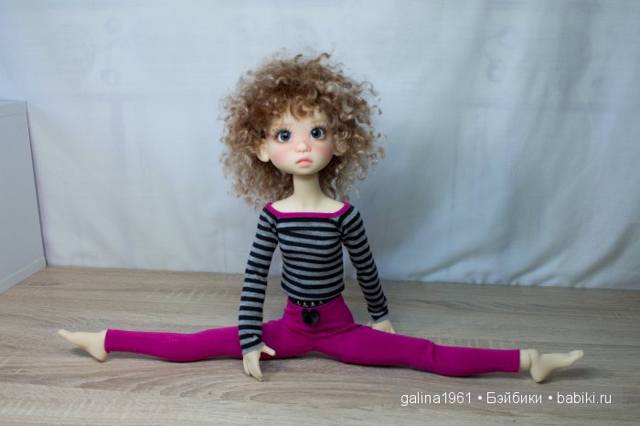 Gracie обжилась, привыкла и чувствует себя как дома (фото 5)