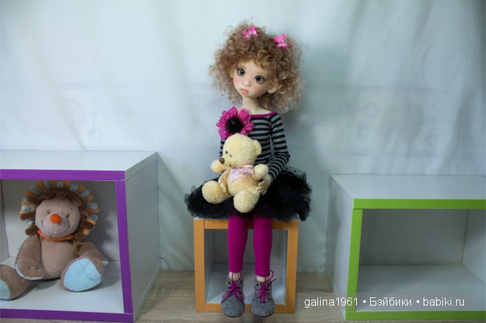 Gracie обжилась, привыкла и чувствует себя как дома