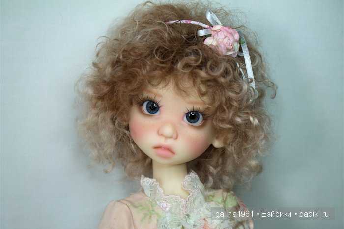 Gracie обжилась, привыкла и чувствует себя как дома