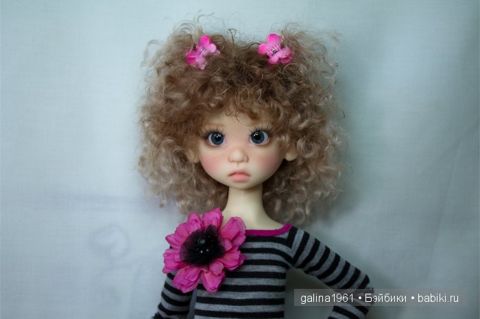 Gracie обжилась, привыкла и чувствует себя как дома (фото 7)