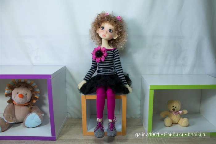 Gracie обжилась, привыкла и чувствует себя как дома