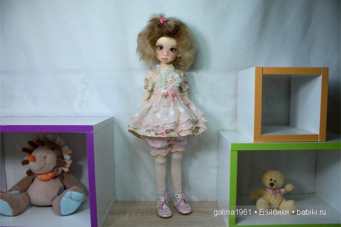 Gracie обжилась, привыкла и чувствует себя как дома