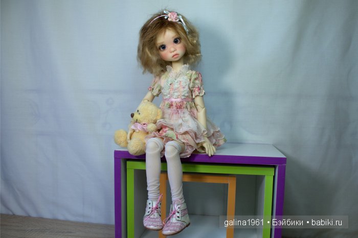 Gracie обжилась, привыкла и чувствует себя как дома