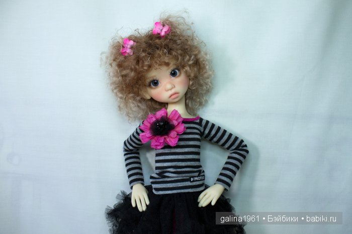 Gracie обжилась, привыкла и чувствует себя как дома