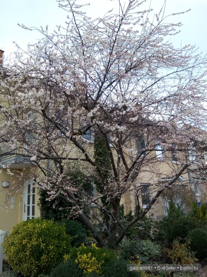 А у нас сегодня лето... а у вас (фото 9)