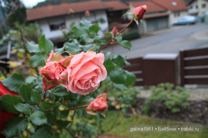 А у нас сегодня лето... а у вас (фото 5)