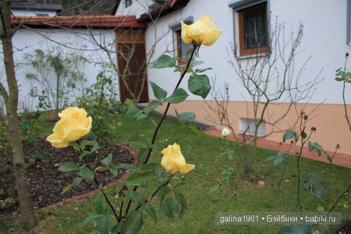 А у нас сегодня лето... а у вас (фото 4)