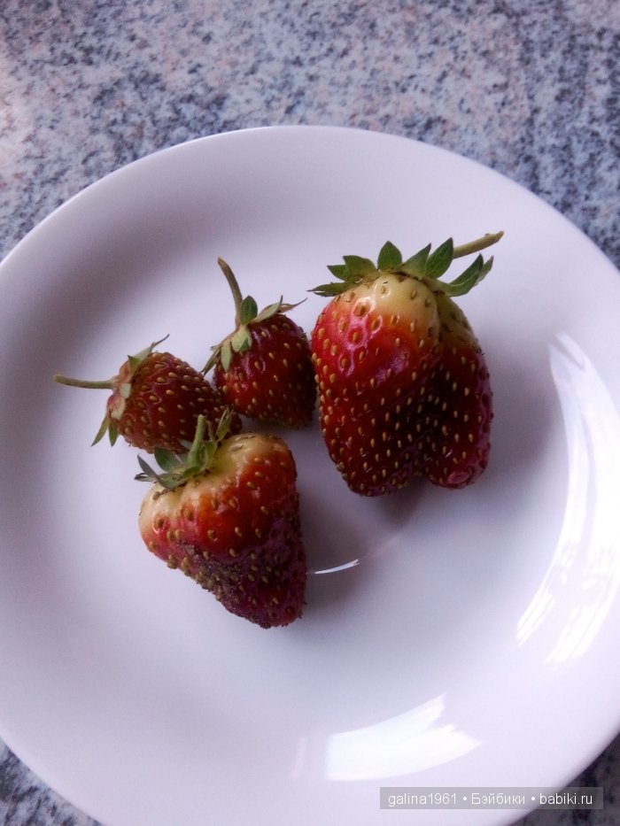 А у нас сегодня лето... а у вас