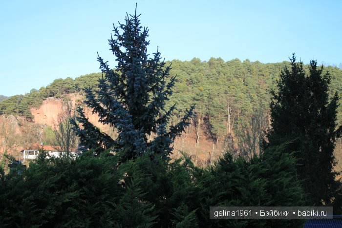А у нас сегодня лето... а у вас (фото 2)